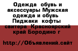 Одежда, обувь и аксессуары Мужская одежда и обувь - Пиджаки, кофты, свитера. Красноярский край,Бородино г.